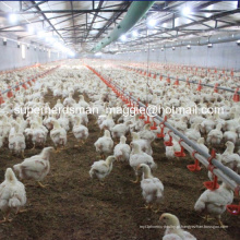 Equipamentos Galpão de Controle de Aves de Alta Qualidade